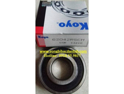 VÒNG BI 6204
